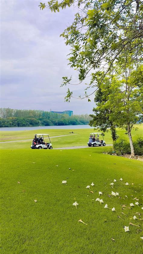 ️‍♂️⛳️ .